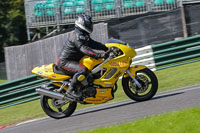 brands-hatch-photographs;brands-no-limits-trackday;cadwell-trackday-photographs;enduro-digital-images;event-digital-images;eventdigitalimages;no-limits-trackdays;peter-wileman-photography;racing-digital-images;trackday-digital-images;trackday-photos